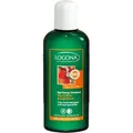 LOGONA Revitalisierendes AGE ENERGY Shampoo mit Bio-Coffein für geschwächtes Haar