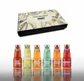 Cocktail Plant 6er Tasting Box - 6x Cocktail Plant je 200ml (10,1% Vol) Ready t