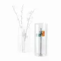 PHILIPPI GIARDINO Vase - Borosilikatglas Vase, Modernes Design mit Glasringen, Dekorativ für Blumenarrangements (L)
