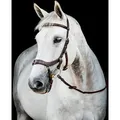 Horseware Micklem II Multi Bridle, Warmblut