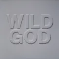 Nick Cave & The Bad Seeds - Wild God (Vinyl LP - 2024 - EU - Original)