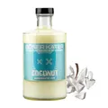 BÖSER KATER Coconut Likör | Handgemachter Kokosnuss Sahne Likör | Perfekt für erfrischende Sommer-Cocktails oder den puren Genuss | Besondere Geschenkidee 0,5l 15% Vol.