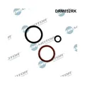 1x Reparatursatz, Pumpe-Düse-Einheit Dr.Motor Automotive DRM032RK passend für