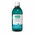 GUM PAROEX 0,06% CHX Mundspülung 500ml PZN 00195883