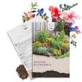Blumensamen Balkonkasten Mischung - Farbenfrohe Blumen mit langer Blütezeit ideal für Ihren Balkon, Garten & Blumenwiese (Blumen Mix)
