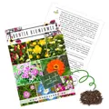 Blumensamen Balkonkasten Mischung - Farbenfrohe Blumen mit langer Blütezeit
