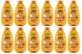 12x Garnier Shampoo Nutriente Gli Oli Meravigliosi Arganöl und Kamelie 300ml