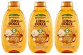 3x Garnier Shampoo Nutriente Gli Oli Meravigliosi Arganöl und Kamelie 300ml
