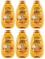 6x Garnier Shampoo Nutriente Gli Oli Meravigliosi Arganöl und Kamelie 300ml
