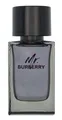 Burberry Mr. Burberry Eau de Toilette 100ml