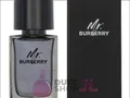 Burberry Mr. Burberry Edt Spray 100 ml