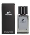 BURBERRY Mr. Burberry Eau de Toilette Spray 100 ml