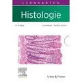 Lernkarten Histologie