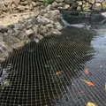 Aquaristikwelt24 - Teichabdecknetz 4x4m Teichnetz Teichschutz Fischreiher Laubschutz Abdecknetz