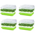 GerminationTray Samen Keimschale Sprössling Anzuchtschale Anzuchtbox für Mikr...