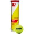 Wilson Tennisball Wilson Championship Extra Duty 4 Bälle
