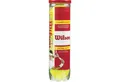 Wilson Tennisball Championship - 4 Tennisbälle - Innendruckball - (4er Dose)