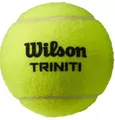 Wilson Triniti Club 72 Bälle Tennisbälle Tennis Balls Trainerbälle
