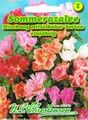 Sommerazalee Mischung mittelhoher Sorten Godetia grandiflora Azalee
