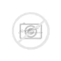 Sommerreifen Hiscend H Van MC-51 8PR 215/60R17 C 109T Dynamo id677363