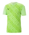 PUMA Fußballtrikot PUMA teamULTIMATE Trikot Kurzarm-Trikots Herren Teamsport