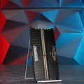 32 GB Kit (2x 16 GB) Corsair Vengeance LPX PC4-21300 (2666 MHz)