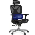 Ergonomischer Bürostuhl ErgoX C7B-Lite-V2 mit höhenverstellbarem Sitz - A