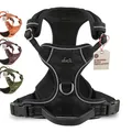 FREUDENTIER Hundegeschirr mit Griff & atmungsaktiver Mesh-Polsterung - Bombenfester Sitz & maximale Sicherheit - Anti Zug Hundegeschirr kleine, mittgroße & Grosse Hunde - Hunde Geschirr (Black, M)