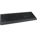 Lenovo Professional USB Tastatur Deutsch, QWERTZ Schwarz