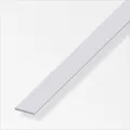 alfer Flachprofil Edelstahl roh natur