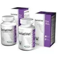 VET PLANET DOG GeriatiVet Large Breed 45tabl