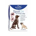 REDISAN Spot-on gegen Zecken+Flöhe f.Hunde 2-20 kg 5X2.5 ML