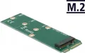 DeLOCK - Schnittstellenadapter - M.2 - M.2 Card - mSATA (64109)