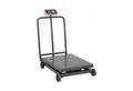 Steinberg Systems Präzisionswaage 1000 kg/ 200g Plattformwaage Paketwaage Digitalwaage Industrie rollbar, verschiedene Produktvarianten