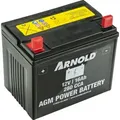 12V 16Ah AGM-Batterie für Rasentraktor