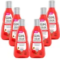6x 250ml Guhl Color Schutz & Pflege Shampoo roter Mohn Haarpflege getöntes Haar