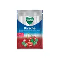 WICK Wildkirsche & Eukalyptus Bonbons o.Zucker Btl 72 g