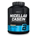 BioTechUSA Micellar Casein Protein Powder - Verlängerte Absorptionszeit, glutenfrei und fettfrei - L-Glutamin hinzugefügt, 2.27 kg, Vanille
