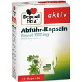 DOPPELHERZ Abführ-Kapseln Rizinol 1.000 mg
