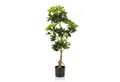 Kunstpflanze SCHEFFLERA Künstliche Pflanze Höhe 100.0 cm Strahlenaralie, hjh OFFICE, Höhe 100.0 cm, Künstliche Pflanze Aralie Kunstbaum im Kunststoff-Topf, Zimmerpflanze