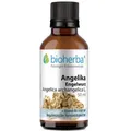 Angelika Engelwurz Tropfen Tinktur 50ml