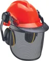 Original Einhell Forstschutzhelm (Gehörschutz, Gesichtsschutz, für 52 - 66 cm)