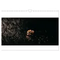 CALVENDO Wandkalender Trauringe (Wandkalender 2025 DIN A4 quer), CALVENDO Monatskalender 29.7 cm x 1 cm x 21.0 cm