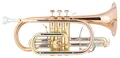 B-WARE Bb Kornett Cornet lackiert Mundstück Gigbag Zubehör Messing Horn Brass