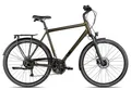 2R Manufaktur Trekkingrad TRX Plus, 24 Gang Shimano Acera RD-M3020 8-fach Schaltwerk, Kettenschaltung, hydraulische Scheibenbremse grün
