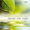 JEROEN VAN VEEN - PIANO MUSIC-RIVER FLOWS IN YOU 2 CD NEU YIRUMA