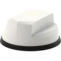 Panorama Antennas LGMM-6-60 Netzwerk-Antenne Omnidirektionale Antenne 6 dBi (4G, 5G, GPS) (LGMM-6-60)