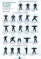 Die 15 Ausdrucksformen des Taiji Qigong Poster