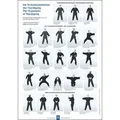 Die 15 Ausdrucksformen des Taiji Qigong Poster