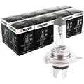 10x TECPO H4 Glühbirne 12V 60/55W P43T